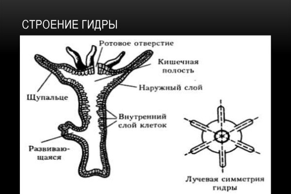 Кракен даркнет как зайти