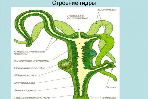 Гидра зеркало официальный